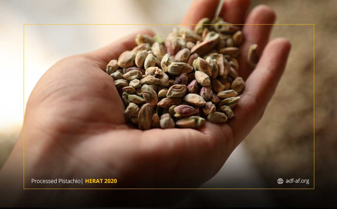 Afghanistan has the highest quality pistachio in the world